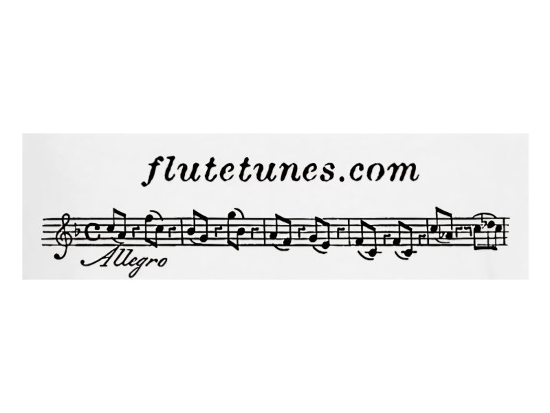 FluteTunes